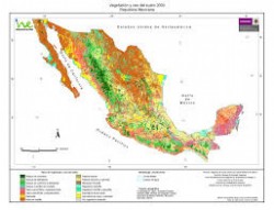 INEGI tiene información útil para elaborar planes que ayuden en desastres naturales
