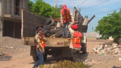 Se prepara el Ayuntamiento para otra jornada de descacharrización