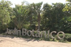 Jardín Botánico, contacto con la naturaleza