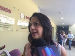 Culiacán, Badiraguato y los 10 partidos políticos omiten respuesta a información