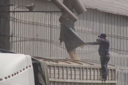 Problemas de movilización si se producen 7 millones de toneladas de maiz
