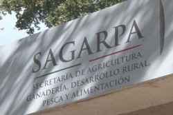 Pagados mas de 200 millones de pesos de las coberturas