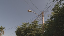 Árboles causan corto circuito en cableado eléctrico en colonia los Mezcales