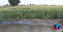 Buscarán encuentro con Hacienda Federal