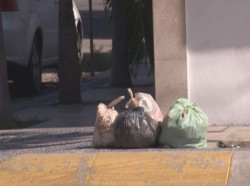 Basura por camellones