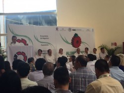 Falta repunte en sector Industrial