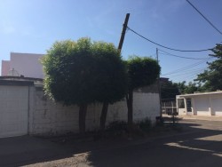 Postes de telefonía causan riesgo