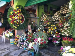 Esperan repunte en el Mercado de las Flores