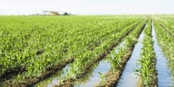 Hay suficiente agua para el próximo ciclo