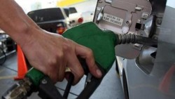 Gasolinas magna, premium y diesel mantienen sus precios en noviembre
