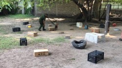 Una pareja efectiva en el combate al narcotráfico