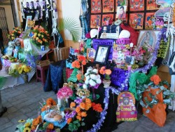 Realizan exhibición de altares de Muertos.
