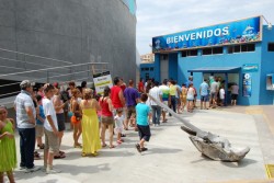 Ya no hay temporadas bajas para Mazatlán: operador turístico.