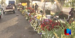 Regulan competencia desleal en venta de flores