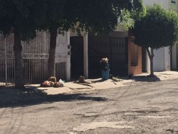 No pasa el camión de basura por  Villas del Real