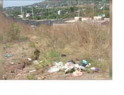 Rincón de Urias con severos problemas de basura y vandalismo.