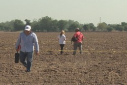 CDDH Sinaloa tiene registro de 5 mujeres desaparecidas solo en 2016