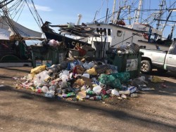 Problema de basura aqueja también en el muelle