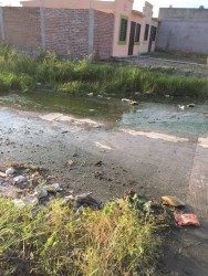 Contaminación y encharcamiento en Urbi Villas.