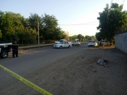 Lo asesinan a golpes