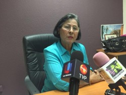 Sobrepasarán las 70 mil hectáreas sembradas de frijol en Sinaloa