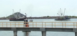 Malas capturas de camarón azul: CANAINPESCA