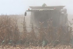Cumplen los diputados con el presupuesto a productores del campo