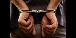 Arrestan a actor de EE.UU. por pedofilia