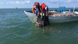 Pescadores exigen presupuesto estatal para acceder a programas