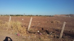 Por fin limpiaron baldío enmontado