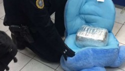Aseguran 5 kilos de marihuana oculta en oso de peluche