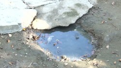 Vecinos del Infonavit Playas habitan cerca de un foco de infección