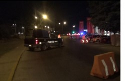 Sólo 8 al venadito por conducir alcoholizados.