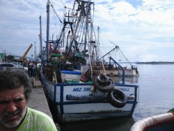 Mala la temporada de capturas de camarón: Pescadores
