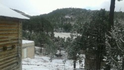 Temperaturas bajo cero en la región montañosa de Chihuahua