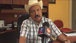 Estiman una producción de frijol por debajo de las 100 mil toneladas