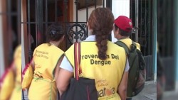 Mazatlán lidera casos de dengue en Sinaloa