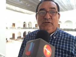 Mosco que provoca enfermedades se adaptó al frío