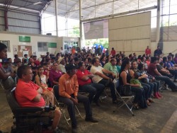 Implementa Diconsa plan piloto en campos hortícolas