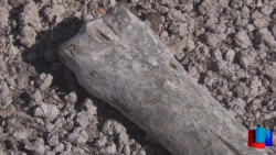 Se encontraron osamentas que pudieran ser del Pleistoceno