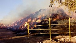 Se incendia pastura en rancho ganadero