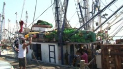 Pescadores preocupados por inseguridad