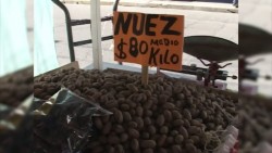 Inicia la venta de dulces típicos de temporada