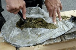 Asegura PGR 100 kilos de mariguana