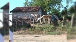Los desplaza la violencia de la zona rural... y la ciudad los devuelve