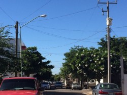No funcionan las lámparas en  Rincón del Humaya