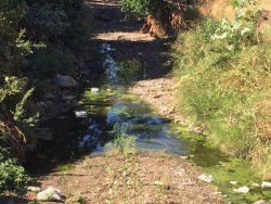 Siguen algunos arroyos con agua