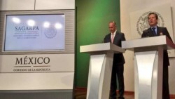 Presidencia desmiente acercamiento entre equipos Peña Nieto- Trump