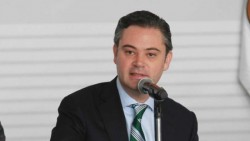 Resultados de la reforma educativa se verán en 10 años: Nuño