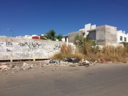 Con mucha basura calle de Colinas de Bosque